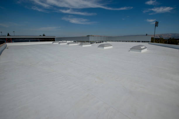 Best Roof Coating and Sealing  in Jersey Village, TX