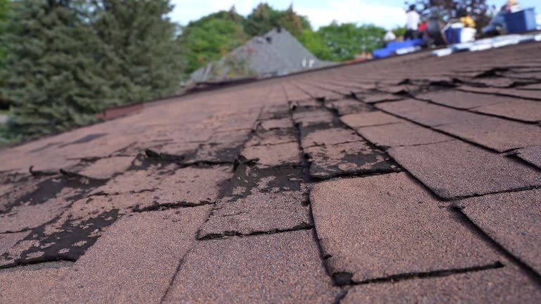 Professional Roofing Services in Jersey Village, TX